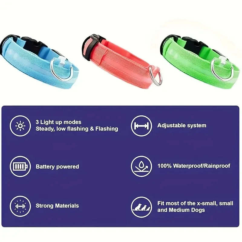 LED dog leash and collar