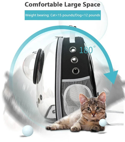 Transparent pet backpack for cats and dogs