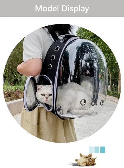 Transparent pet backpack for cats and dogs