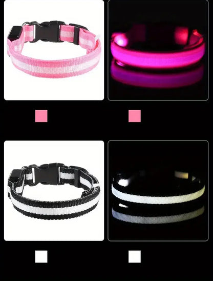 LED dog leash and collar