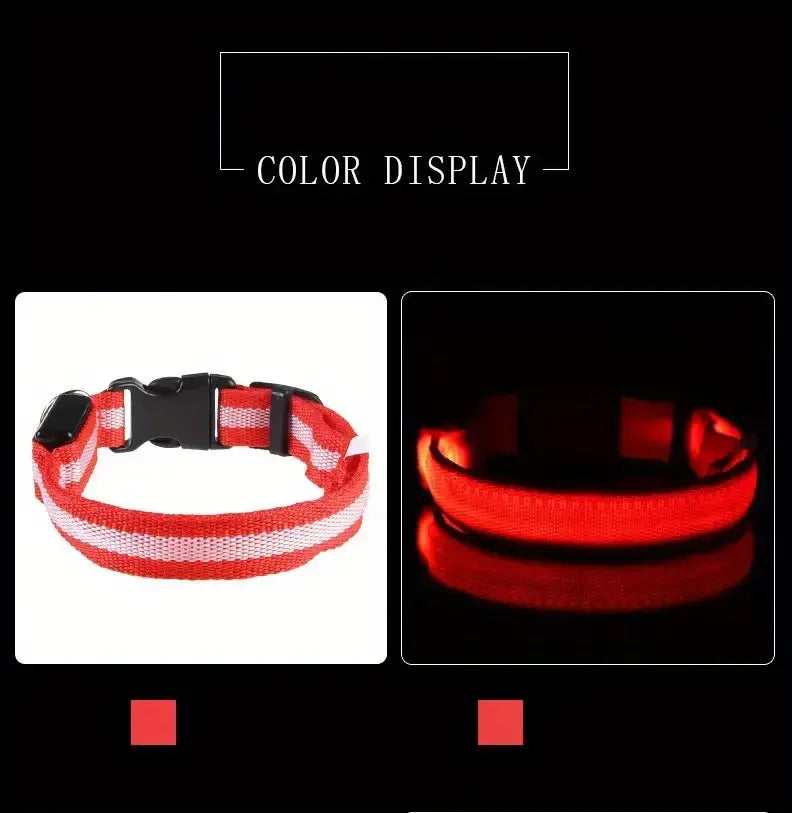 LED dog leash and collar
