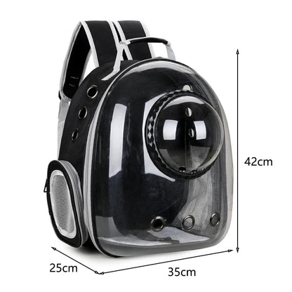 Transparent pet backpack for cats and dogs