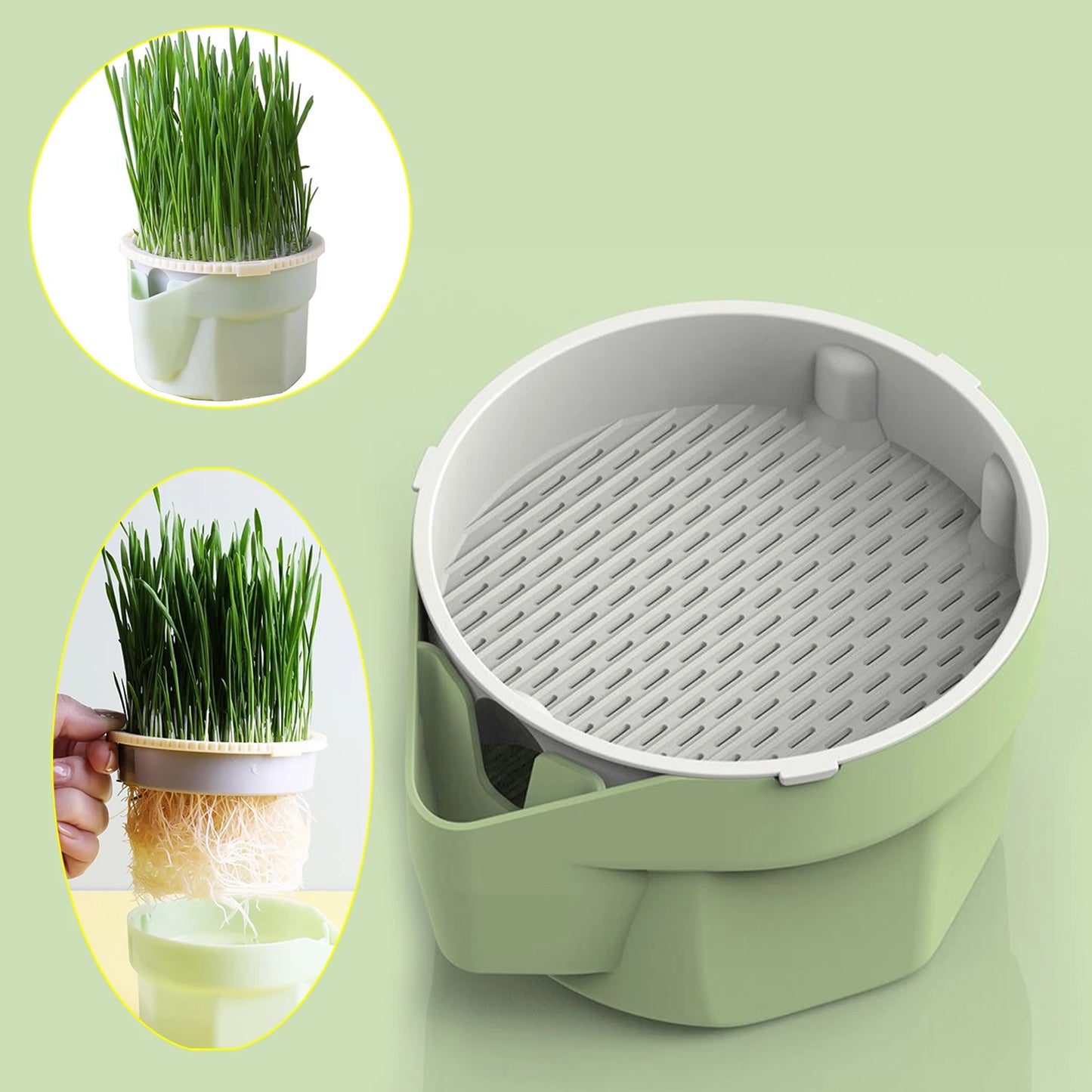 Reusable Cat Grass Planter
