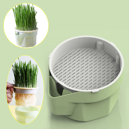 Reusable Cat Grass Planter