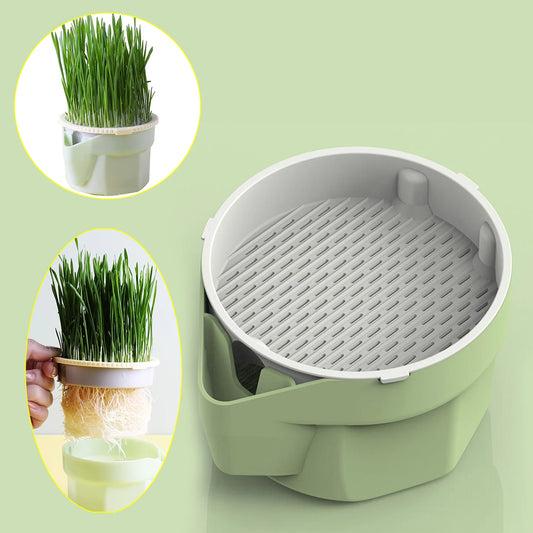 Reusable Cat Grass Planter