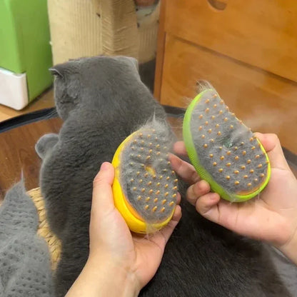 3-in-1 Steam Pet Brush