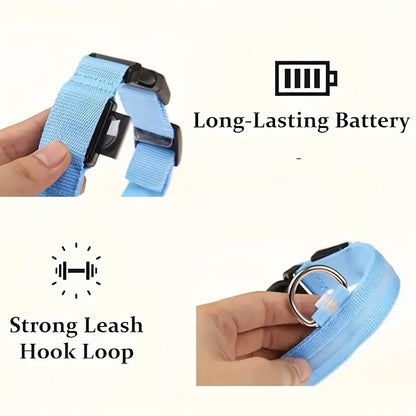 LED dog leash and collar