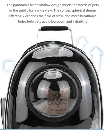Transparent pet backpack for cats and dogs