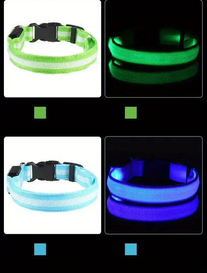 LED dog leash and collar