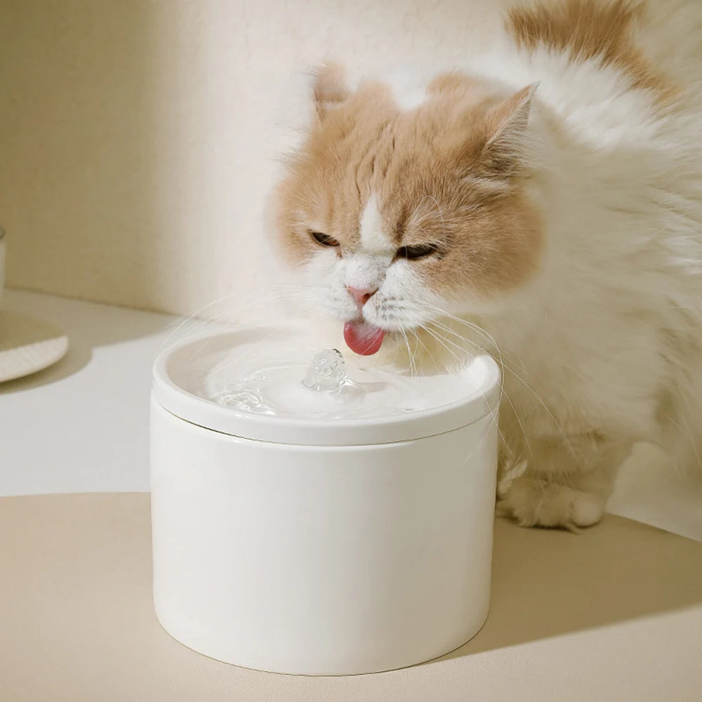 Ceramic Pet Water Fountain