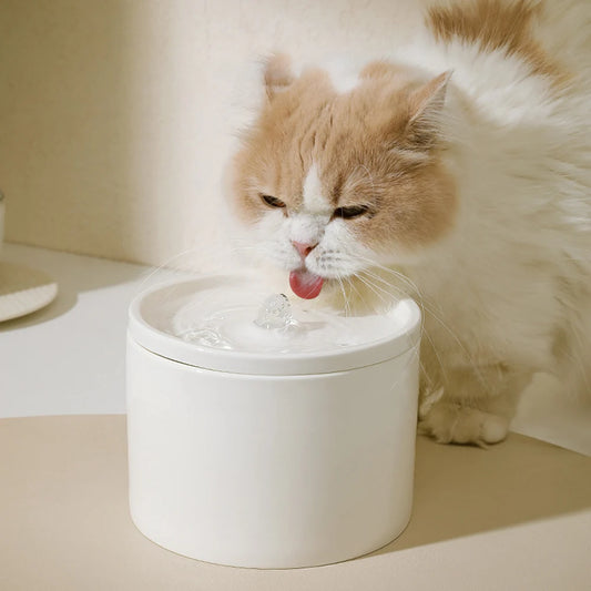 Ceramic Pet Water Fountain