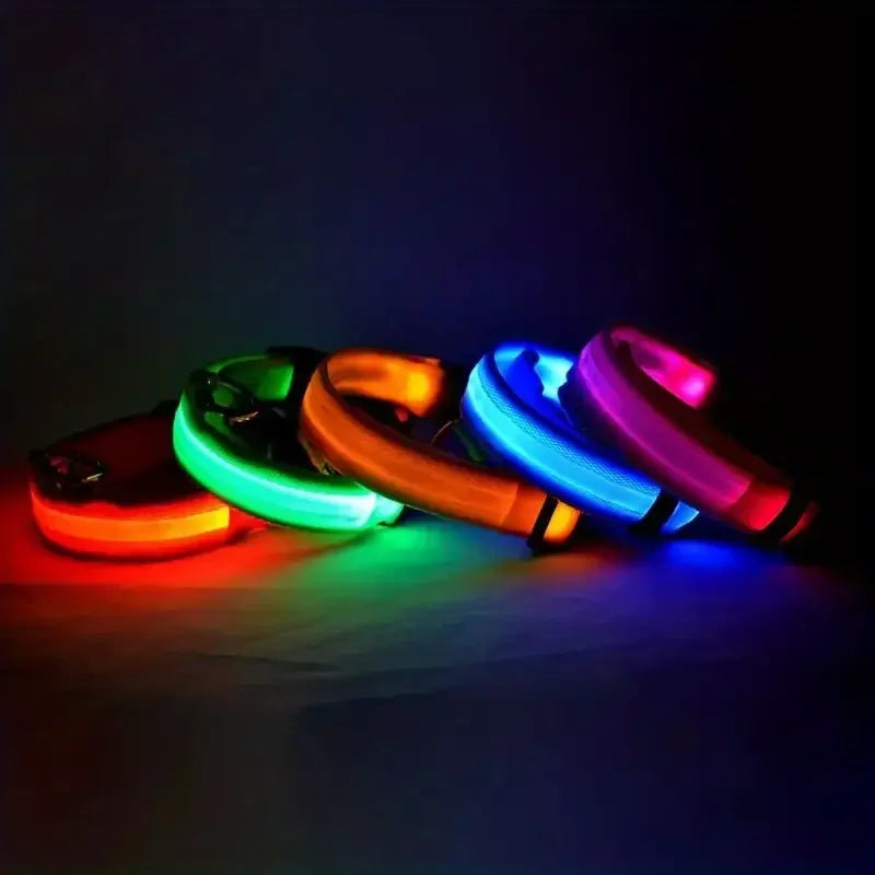 LED dog leash and collar