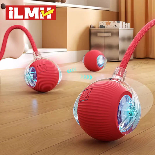 Interactive rolling ball for cats