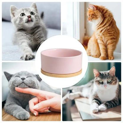 Heated pet water bowl