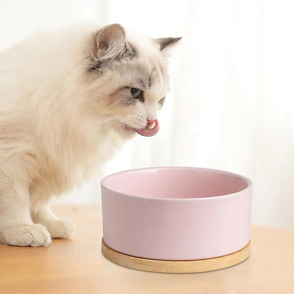 Heated pet water bowl