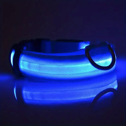 LED dog leash and collar