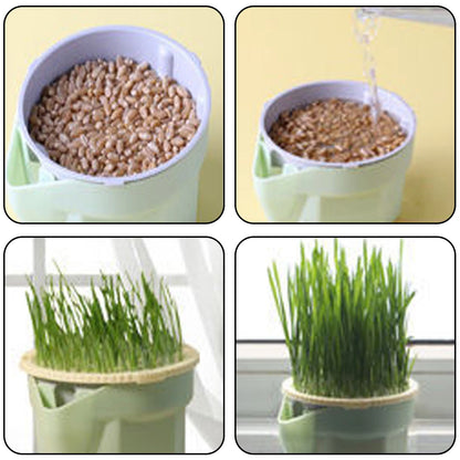 Reusable Cat Grass Planter