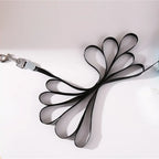 Retractable Dog Leash 2.5M — Smooth Control