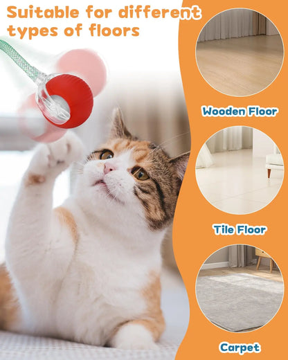 Interactive rolling ball for cats