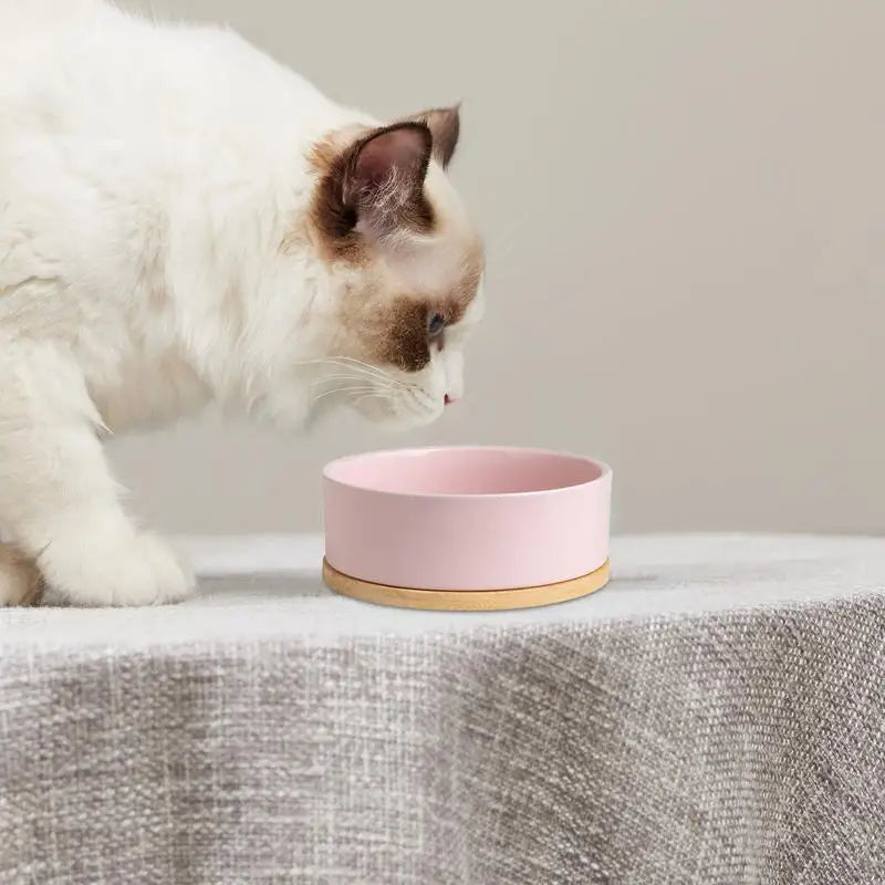 Heated pet water bowl