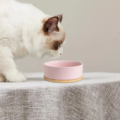 Heated pet water bowl