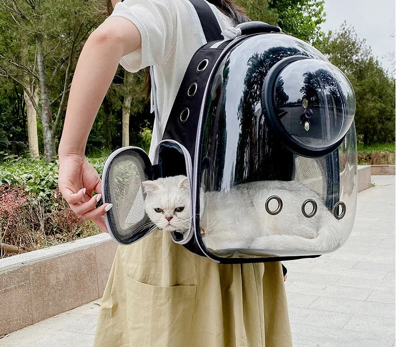 Transparent pet backpack for cats and dogs