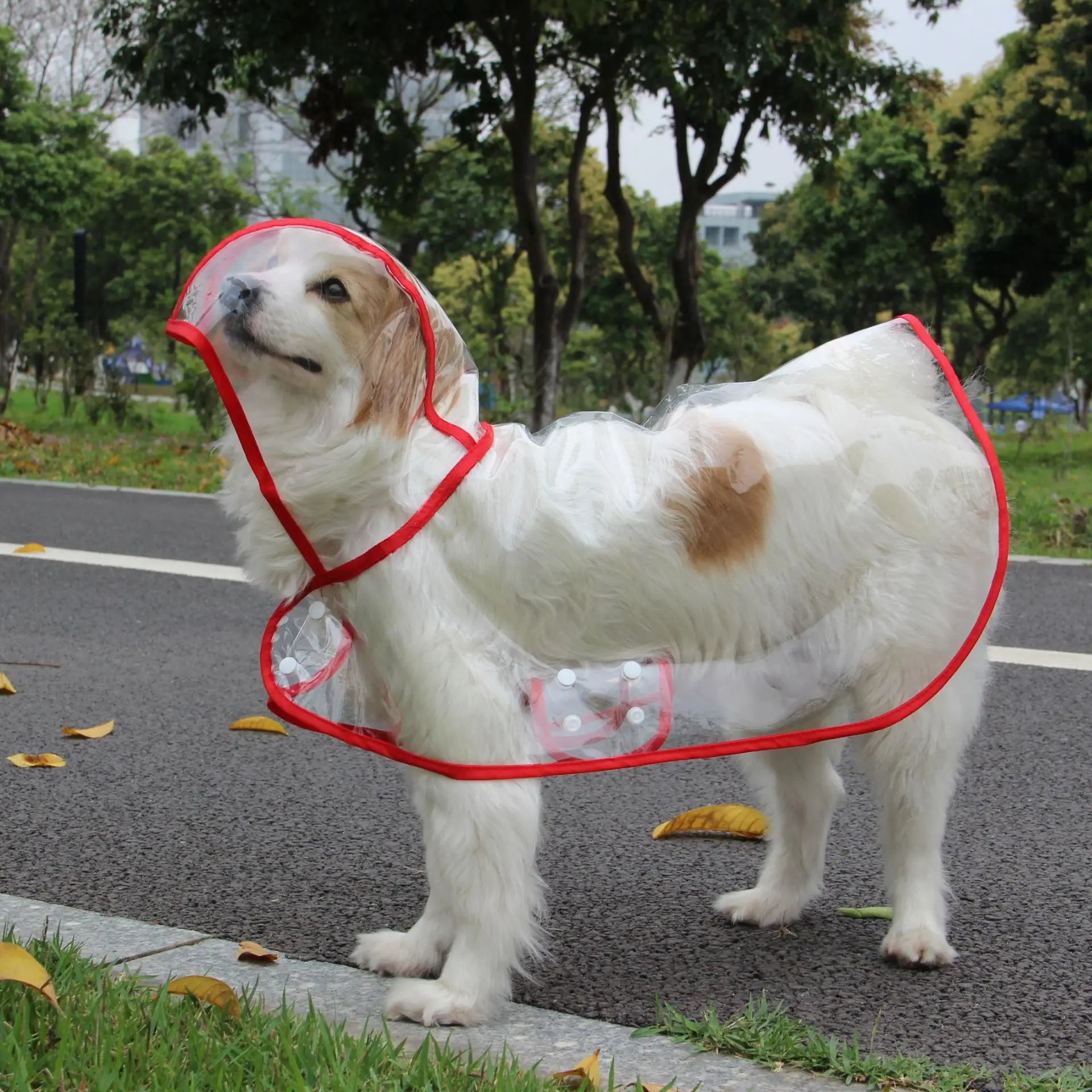 Puppy Raincoat Waterproof Pet Rain Jacket for Small Medium Dogs Cats Jumpsuit Chihuahua Teddy Hooded Pug Rain Poncho Rainwear