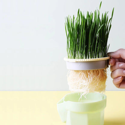 Reusable Cat Grass Planter
