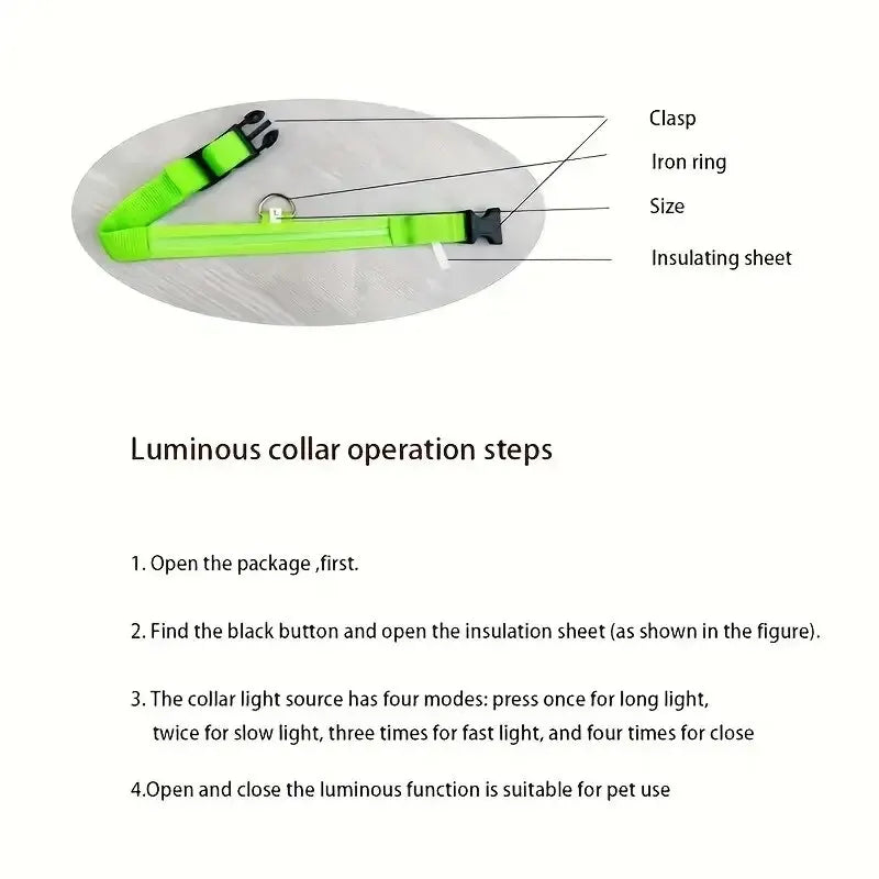 LED dog leash and collar