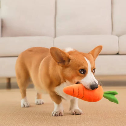 Carrot plush dog toy