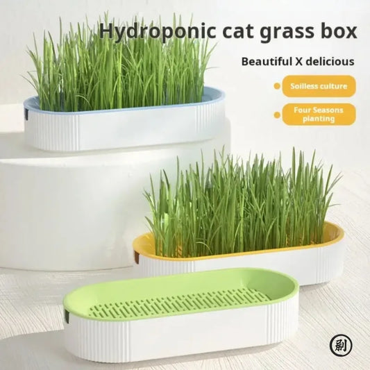 Hydroponic Cat Grass Kit