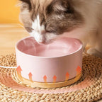 Pet Water Bowl Thermostatic Heated Water Bowl Pet Thermal Bowl Outdoor Heated Cat Bowls Self-Heating Dog Water Bowl