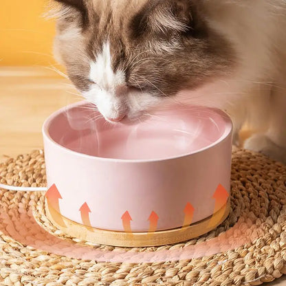 Heated pet water bowl