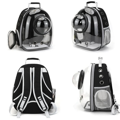 Transparent pet backpack for cats and dogs