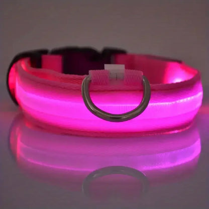 LED dog leash and collar