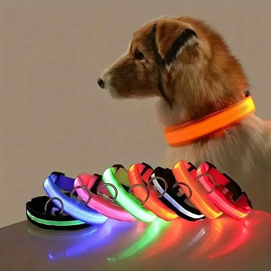 LED dog leash and collar