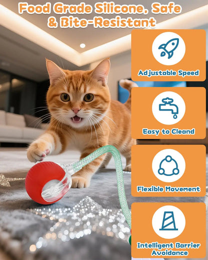 Interactive rolling ball for cats