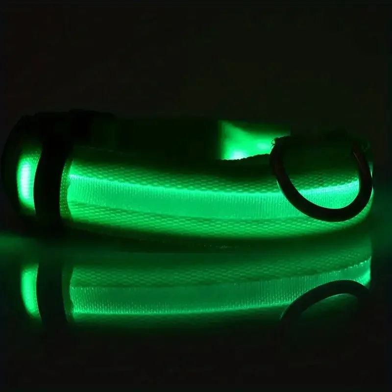 LED dog leash and collar
