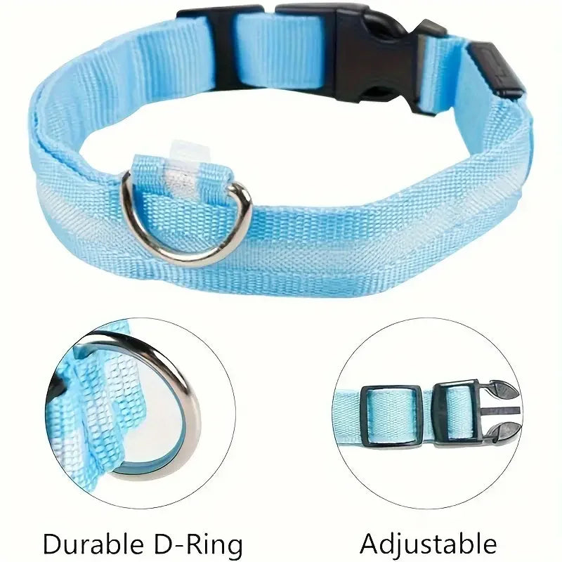 LED dog leash and collar