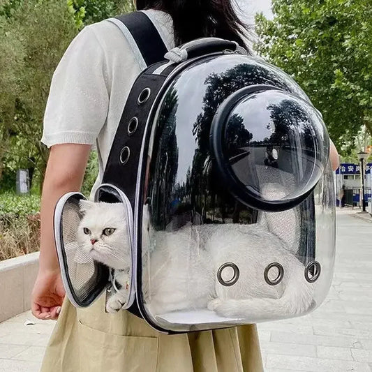 Transparent pet backpack for cats and dogs
