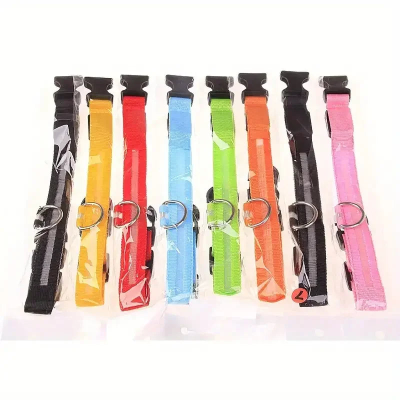 LED dog leash and collar