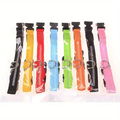 LED dog leash and collar