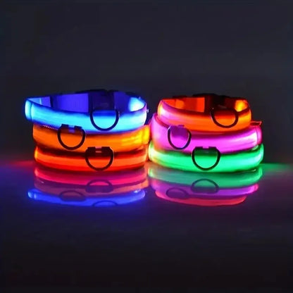 LED dog leash and collar